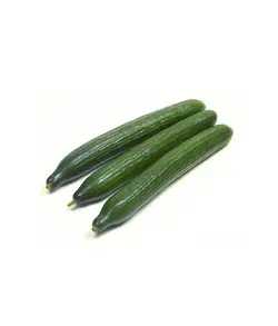 خیار محلی