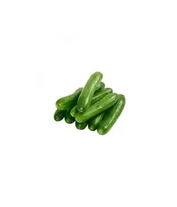 خیار خیار شوری