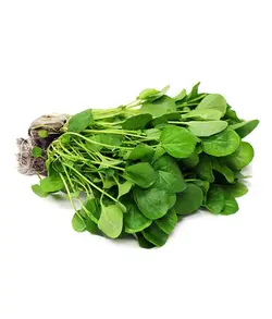 شاهی - 300 گرم