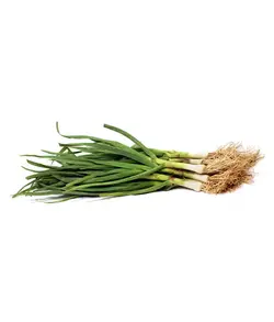 سیر تازه