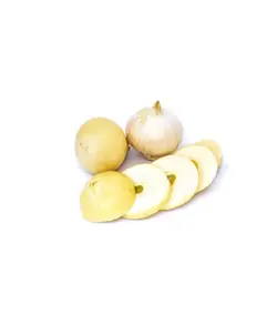 موسیر تازه
