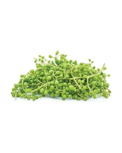 غوره عسگری
