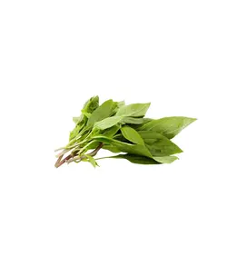 ریحان پاک شده (100 گرم)