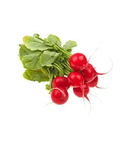 تربچه پاک شده 300 گرمی