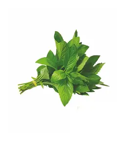 ریحان (1کیلوگرم)