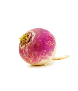 شلغم