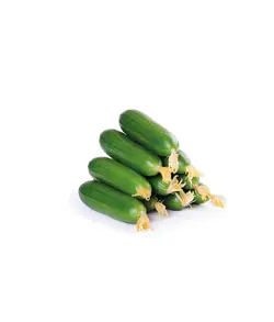 خیار اصلاحی