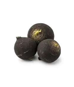 ترب سیاه