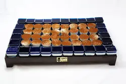 سینی دسر تک نفره بزرگ