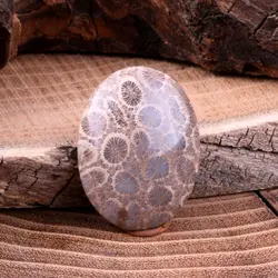 نگین فسیل مرجان