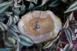 مدال نقره در نجف