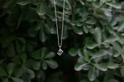 مدال نقره در نجف