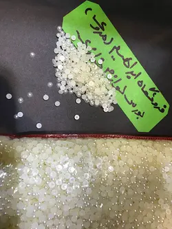 لپه کرم گرد سایز ۴