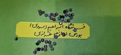 نگین حرارتی دی ام سی ۱۶ بادمجانی روشن
