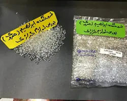 منجق دوقلو درشت نقره ای چک