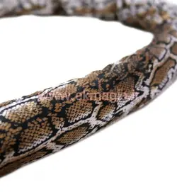 تبدیل عصا به مار CANE TO SNAKE