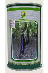 بادمجان چاه بلند