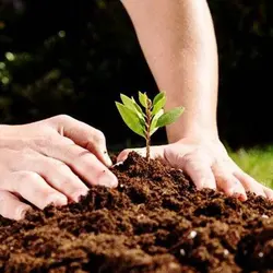 کود باغچه ارگانیک بیز