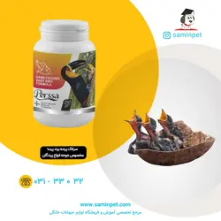 سرلاک مخصوص پرنده برند پرسا