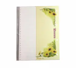 دیوایدر پلاستیکی 31 عددی پیلاوران