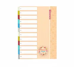 دیوایدر پلاستیکی 12 عددی پیلاوران