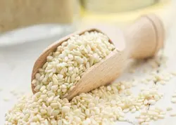 کنجد مقدار 1 کیلوگرم - آلان عسل