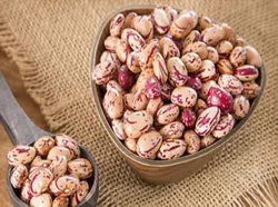 لوبیا چیتی مقدار 1 کیلوگرم - آلان عسل