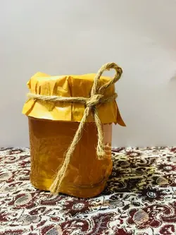 عسل طبیعی کوهستان 500 گرمی - آلان عسل