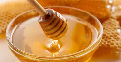 عسل طبیعی کوهستان 2 کیلوگرمی - آلان عسل