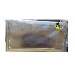 عسل موم دار سیاه طبیعی کوهستان 3 کیلو گرمی - آلان عسل