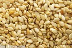 کنجد مقدار 500 گرم - آلان عسل