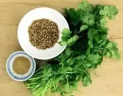 تخم گشنیز مقدار 500 گرم - آلان عسل
