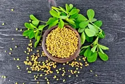 تخم شنبلیله مقدار 1 کیلوگرم - آلان عسل