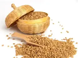 تخم شنبلیله مقدار 1 کیلوگرم - آلان عسل