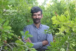 رب انار ترش حسین آقا