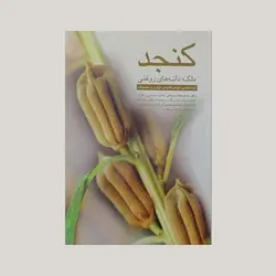 کنجد (ملک دانه‌های روغنی (گیاه شناسی ، خواص تغذیه ‌‌ای ، فرآوری و محصولات))