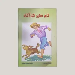 تام سایر کارآگاه