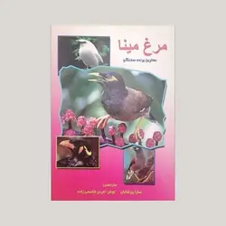 مرغ مینا (بهترین پرنده سخنگو)