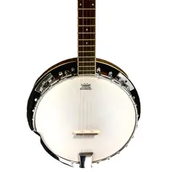 مشخصات، قیمت و خرید بانجو ۵ سیم برند seekmusic - کالیمبا ایران