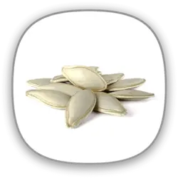 تخمه کدو ریز خام درجه کیفی: ممتاز