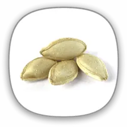 تخمه کدو برشته سایز ریزB