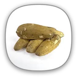 آفتابگردان بلنچد گلپر درجه کیفی: لوکس