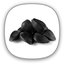 آفتابگردان روغنی خام درجه کیفی: لوکس سایز : 350_320