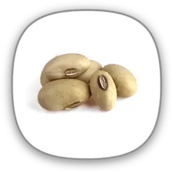 آجیل سویا لیمویی درجه کیفی: لوکس