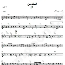 نت شماره WNK5402