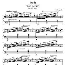 کتاب شماره WLE1095