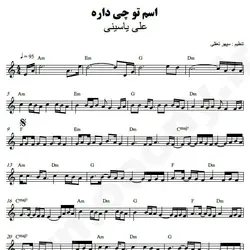 نت شماره WNK4660