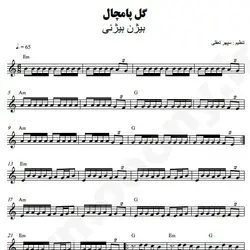 نت شماره WNK4528