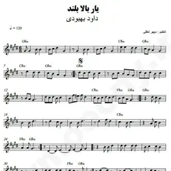 نت شماره WNK4338