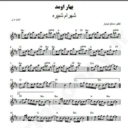 نت شماره WNK4013